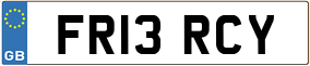 Trailer License Plate